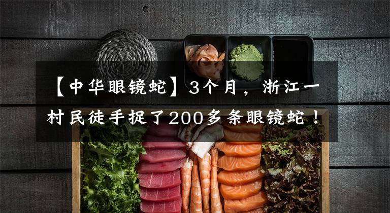 【中华眼镜蛇】3个月，浙江一村民徒手捉了200多条眼镜蛇！麻烦大了……