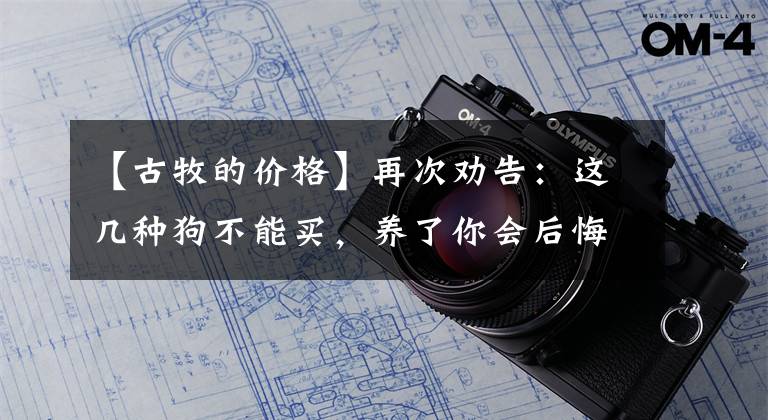 【古牧的价格】再次劝告：这几种狗不能买，养了你会后悔的
