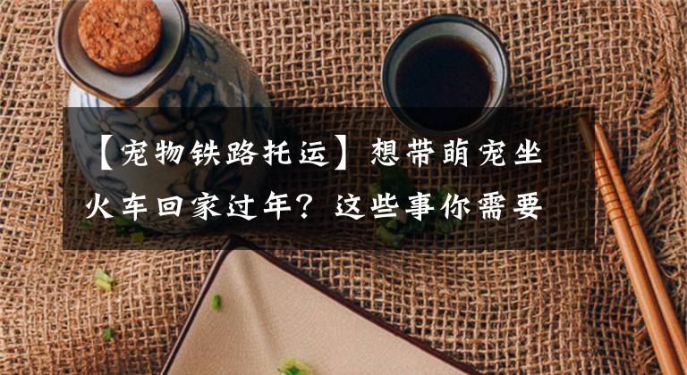 【宠物铁路托运】想带萌宠坐火车回家过年？这些事你需要知道