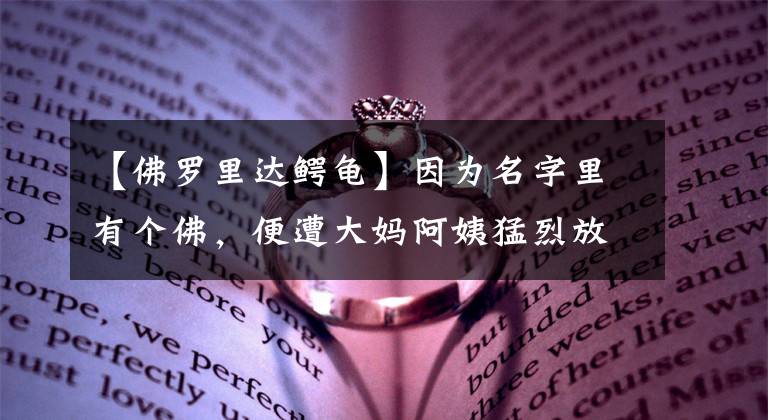 【佛罗里达鳄龟】因为名字里有个佛，便遭大妈阿姨猛烈放生的外来物种