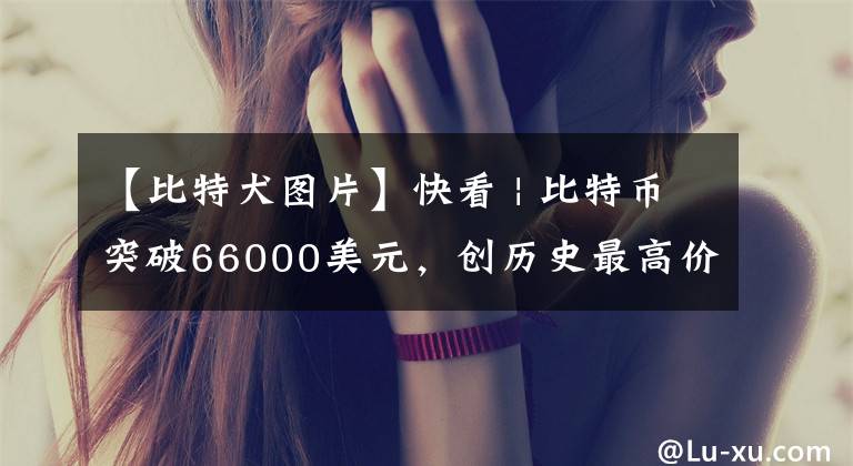 【比特犬图片】快看 | 比特币突破66000美元，创历史最高价