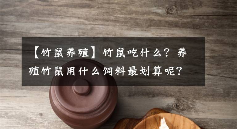 【竹鼠养殖】竹鼠吃什么？养殖竹鼠用什么饲料最划算呢？