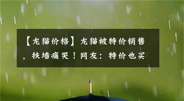 【龙猫价格】龙猫被特价销售，扶墙痛哭！网友：特价也买不起