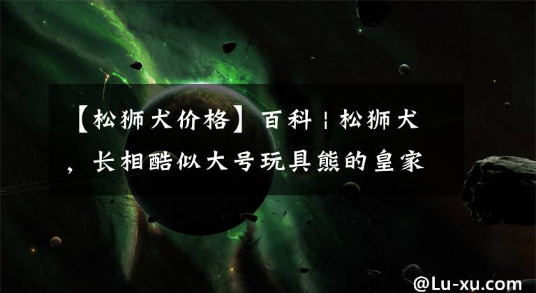 【松狮犬价格】百科 | 松狮犬，长相酷似大号玩具熊的皇家猎犬