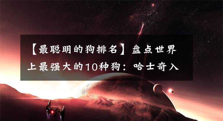【最聪明的狗排名】盘点世界上最强大的10种狗：哈士奇入选，藏獒竟能秒杀东北虎？