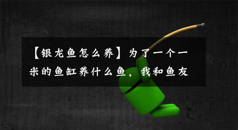 【银龙鱼怎么养】为了一个一米的鱼缸养什么鱼，我和鱼友争论了一天！