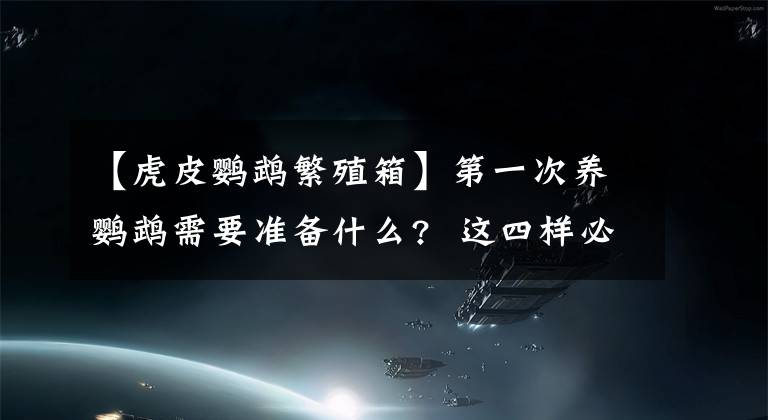 【虎皮鹦鹉繁殖箱】第一次养鹦鹉需要准备什么? 这四样必不可少 看看你家都有吗？