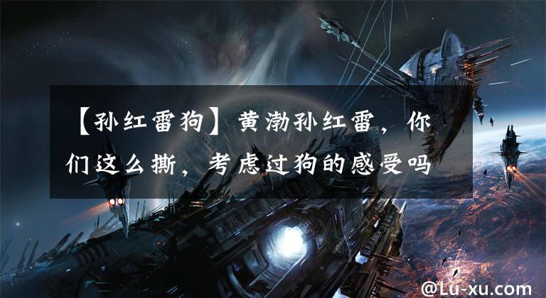 【孙红雷狗】黄渤孙红雷，你们这么撕，考虑过狗的感受吗？