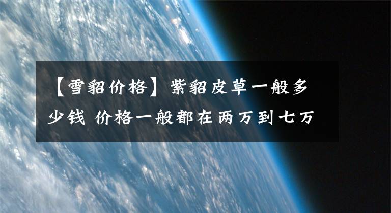 【雪貂价格】紫貂皮草一般多少钱 价格一般都在两万到七万左右