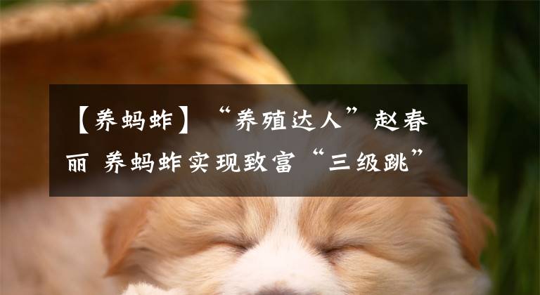 【养蚂蚱】“养殖达人”赵春丽 养蚂蚱实现致富“三级跳”
