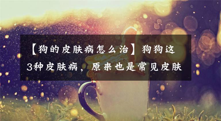 【狗的皮肤病怎么治】狗狗这3种皮肤病，原来也是常见皮肤病，但很多主人不知道