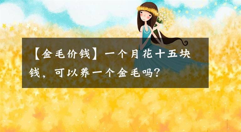 【金毛价钱】一个月花十五块钱，可以养一个金毛吗？