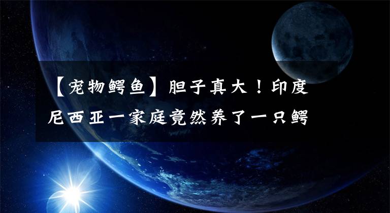 【宠物鳄鱼】胆子真大！印度尼西亚一家庭竟然养了一只鳄鱼做宠物