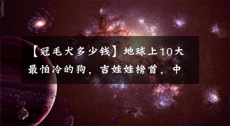 【冠毛犬多少钱】地球上10大最怕冷的狗，吉娃娃榜首，中国冠毛犬第二，你养了吗？