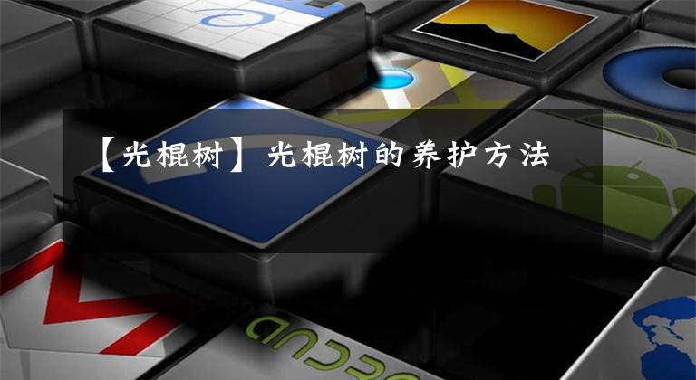 【光棍树】光棍树的养护方法
