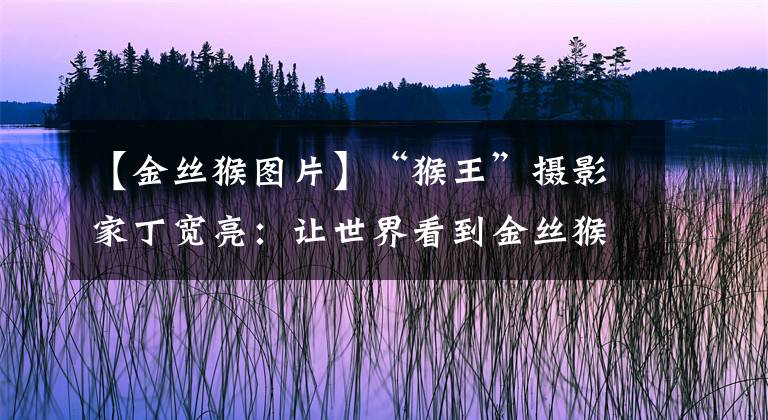 【金丝猴图片】“猴王”摄影家丁宽亮：让世界看到金丝猴“人性之美”