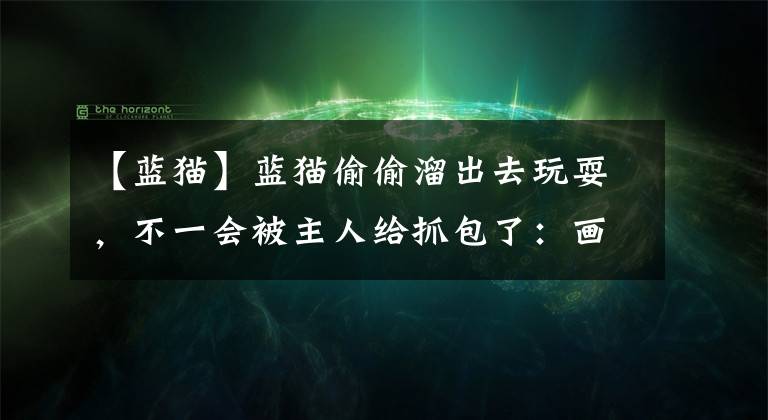 【蓝猫】蓝猫偷偷溜出去玩耍，不一会被主人给抓包了：画面过于熟悉了
