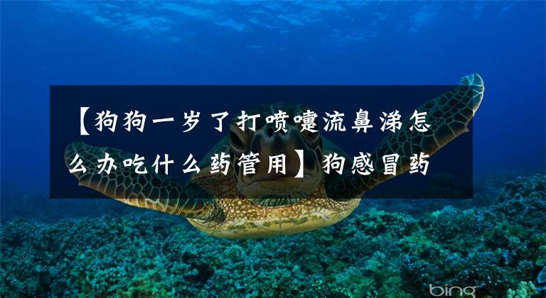 【狗狗一岁了打喷嚏流鼻涕怎么办吃什么药管用】狗感冒药有哪些？人用的东西能吃吗？