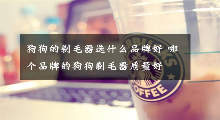 狗狗的剃毛器选什么品牌好 哪个品牌的狗狗剃毛器质量好