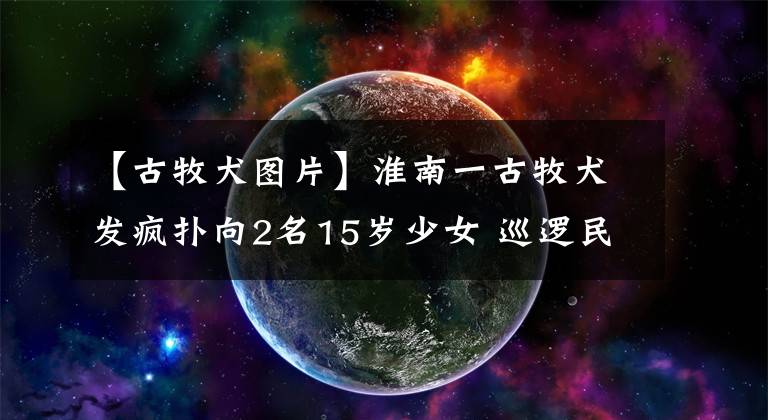 【古牧犬图片】淮南一古牧犬发疯扑向2名15岁少女 巡逻民警果断击毙