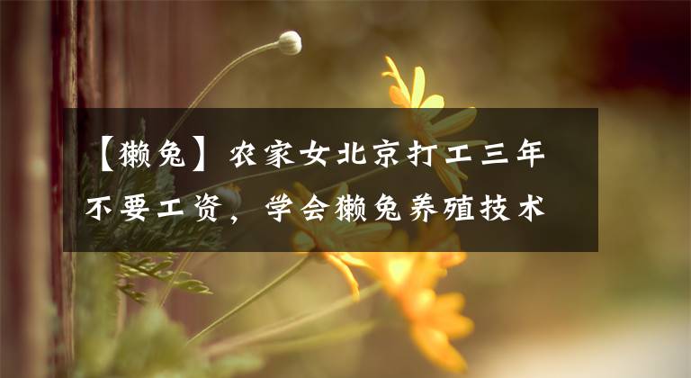 【獭兔】农家女北京打工三年不要工资，学会獭兔养殖技术年赚40万元