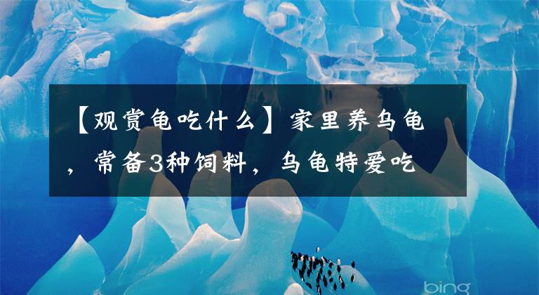 【观赏龟吃什么】家里养乌龟，常备3种饲料，乌龟特爱吃