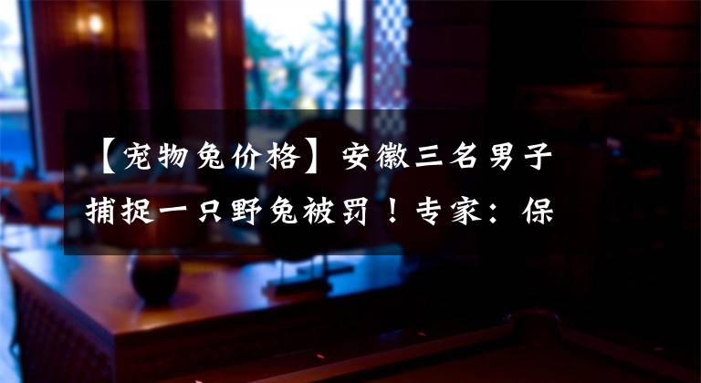 【宠物兔价格】安徽三名男子捕捉一只野兔被罚！专家：保护动物，每只300元