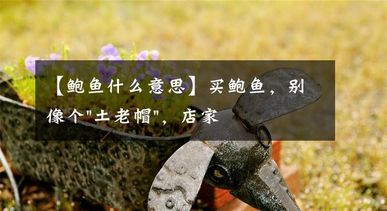 【鲍鱼什么意思】买鲍鱼，别像个"土老帽"，店家问你买几头，可不是问你买几个