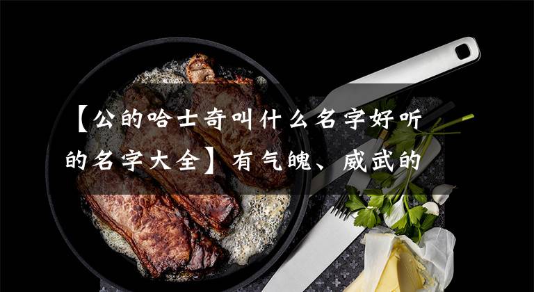 【公的哈士奇叫什么名字好听的名字大全】有气魄、威武的雄性宠物狗的名字很帅，很有魅力-可爱的地方