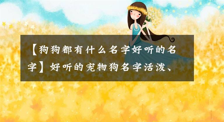 【狗狗都有什么名字好听的名字】好听的宠物狗名字活泼、调皮、新颖-可爱