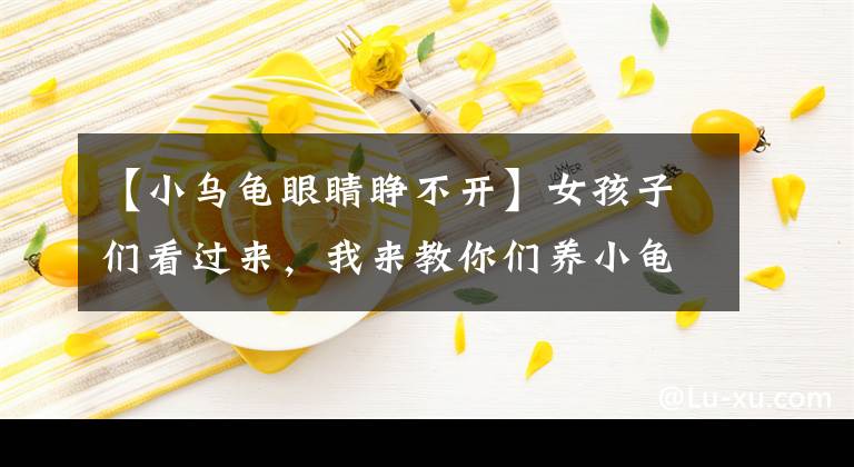 【小乌龟眼睛睁不开】女孩子们看过来，我来教你们养小龟龟