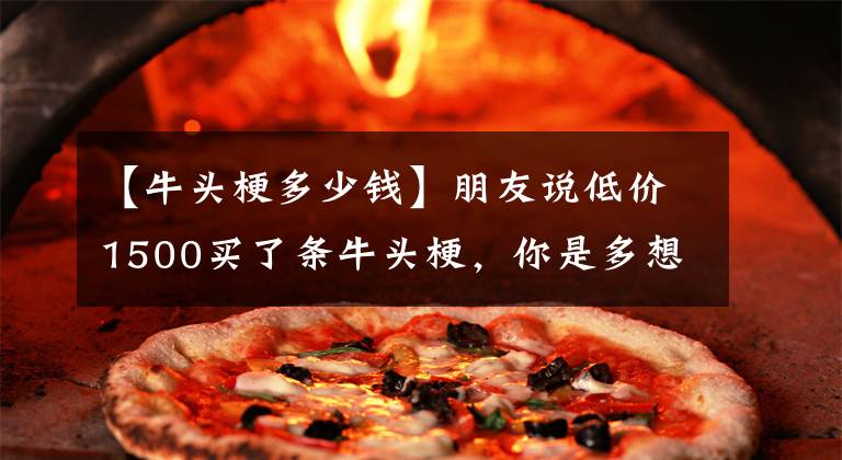 【牛头梗多少钱】朋友说低价1500买了条牛头梗，你是多想要牛头梗这分明就是二师兄