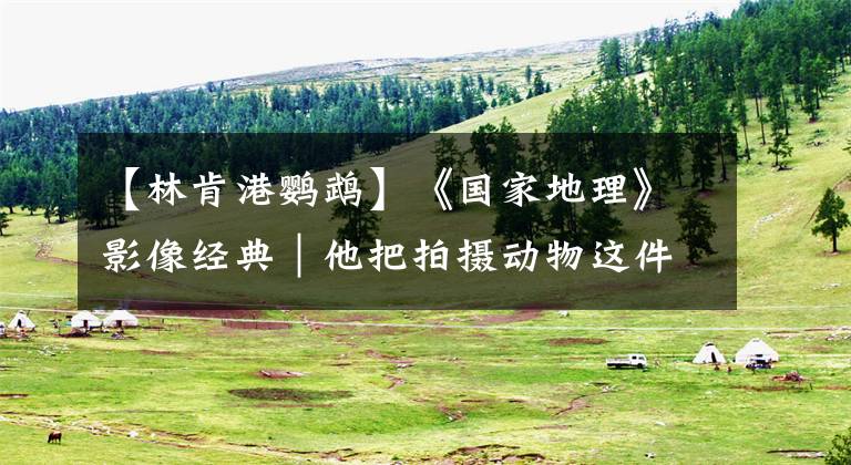 【林肯港鹦鹉】《国家地理》影像经典｜他把拍摄动物这件事上升到了人生意义的高度！