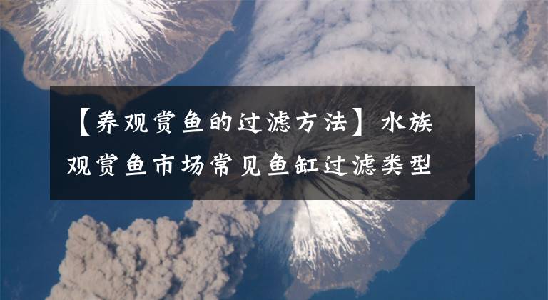 【养观赏鱼的过滤方法】水族观赏鱼市场常见鱼缸过滤类型分析，认准这原则，鱼缸净水无忧