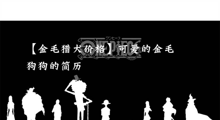 【金毛猎犬价格】可爱的金毛狗狗的简历