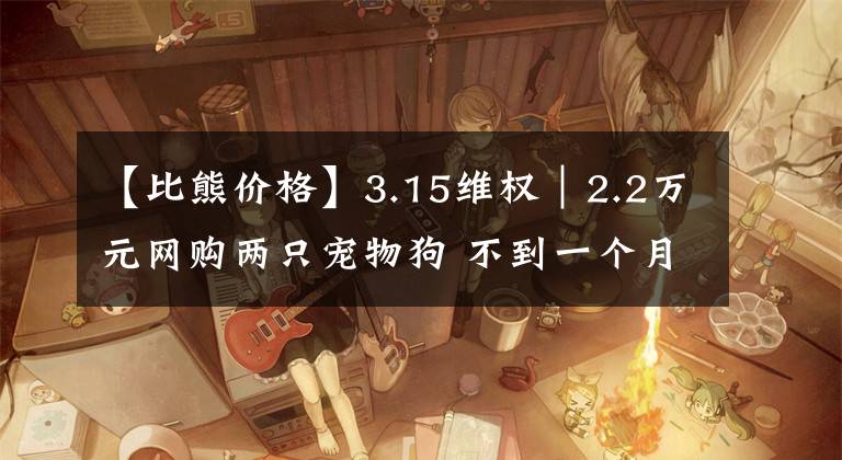 【比熊价格】3.15维权｜2.2万元网购两只宠物狗 不到一个月先后因病死亡