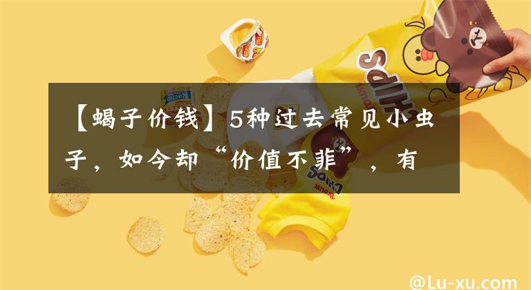 【蝎子价钱】5种过去常见小虫子，如今却“价值不菲”，有些上千元一斤