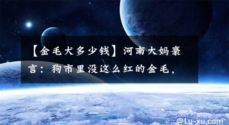 【金毛犬多少钱】河南大妈豪言：狗市里没这么红的金毛，网友：这品相也敢卖这么贵