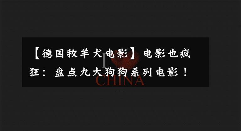 【德国牧羊犬电影】电影也疯狂：盘点九大狗狗系列电影！