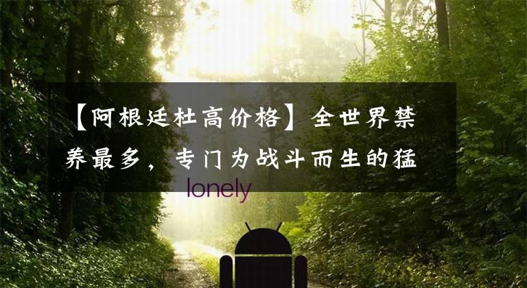 【阿根廷杜高价格】全世界禁养最多，专门为战斗而生的猛犬，每一种都不是好惹的