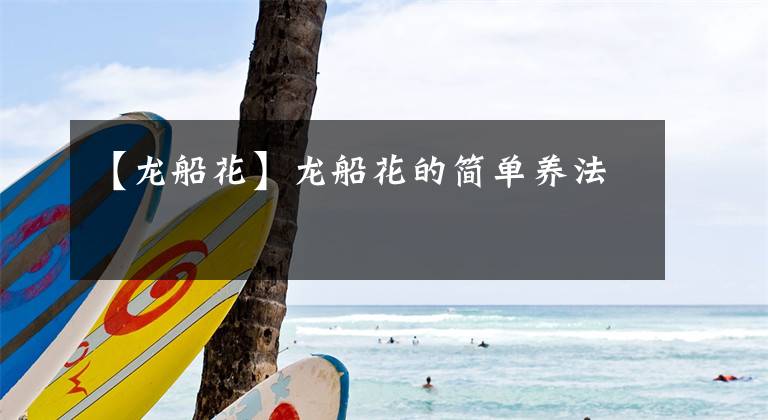 【龙船花】龙船花的简单养法
