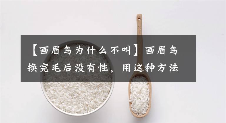 【画眉鸟为什么不叫】画眉鸟换完毛后没有性，用这种方法简单又快速