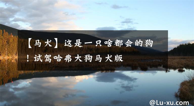 【马犬】这是一只啥都会的狗！试驾哈弗大狗马犬版