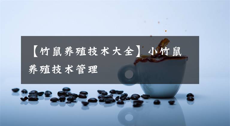 【竹鼠养殖技术大全】小竹鼠养殖技术管理