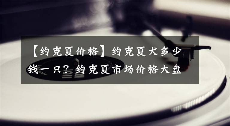 【约克夏价格】约克夏犬多少钱一只？约克夏市场价格大盘点