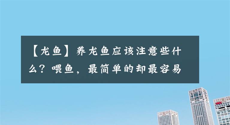 【龙鱼】养龙鱼应该注意些什么？喂鱼，最简单的却最容易犯错