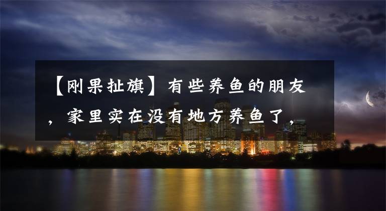 【刚果扯旗】有些养鱼的朋友，家里实在没有地方养鱼了，就开始打电视柜的主意