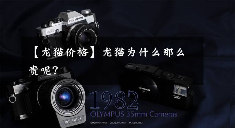 【龙猫价格】龙猫为什么那么贵呢？