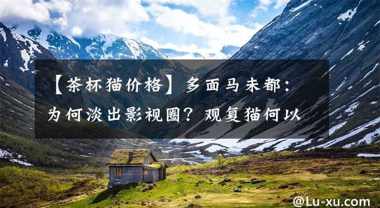 【茶杯猫价格】多面马未都：为何淡出影视圈？观复猫何以成了网红？