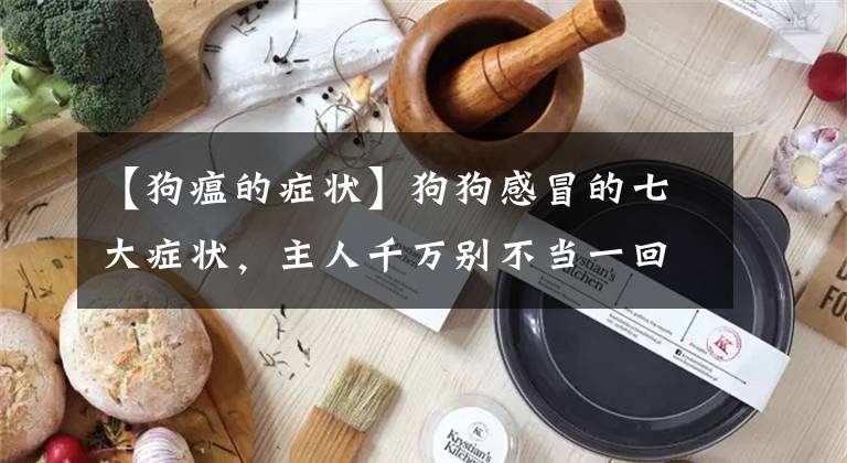 【狗瘟的症状】狗狗感冒的七大症状，主人千万别不当一回事！